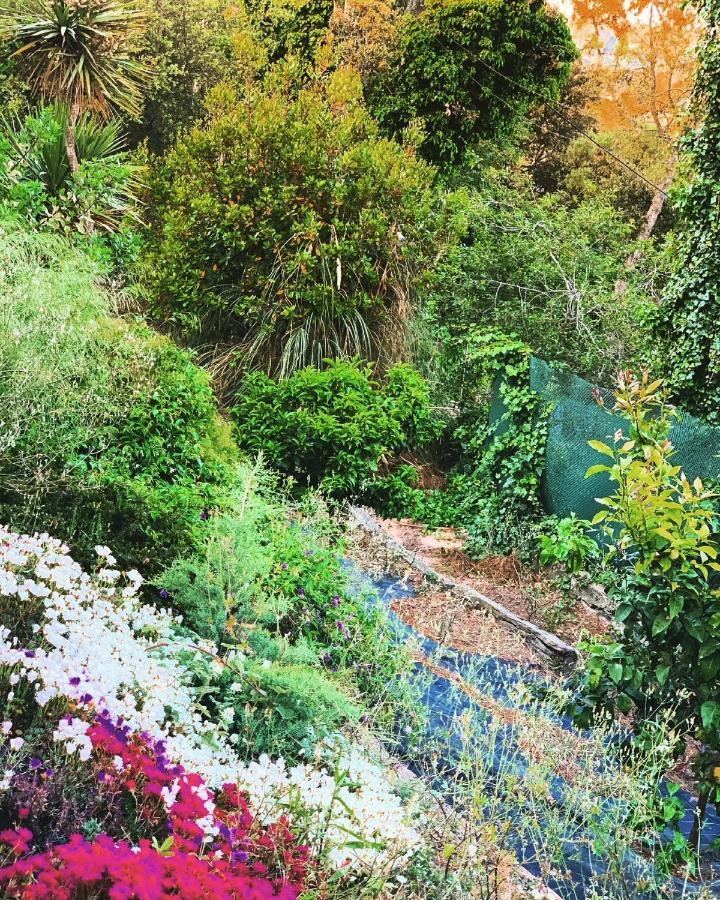 Villa Mas Blau يوريت دي مار المظهر الخارجي الصورة